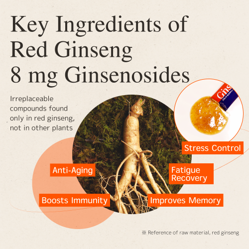 Red ginseng Extract grained Panax Stick Packing Gift Packaging